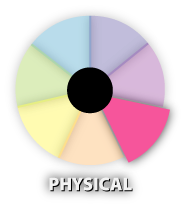 Wellness-Wheel-Physical.png