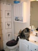 Bath1