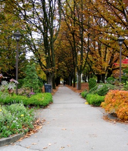 Moody Park